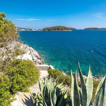 شقة Cerin Prizba Blato (Korcula)